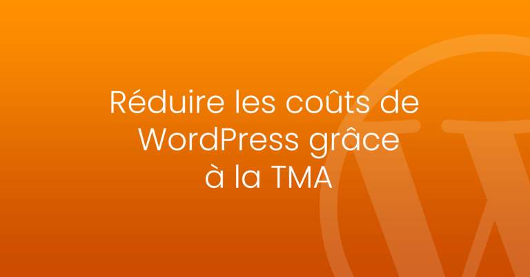 réduire coût maintenance wordpress