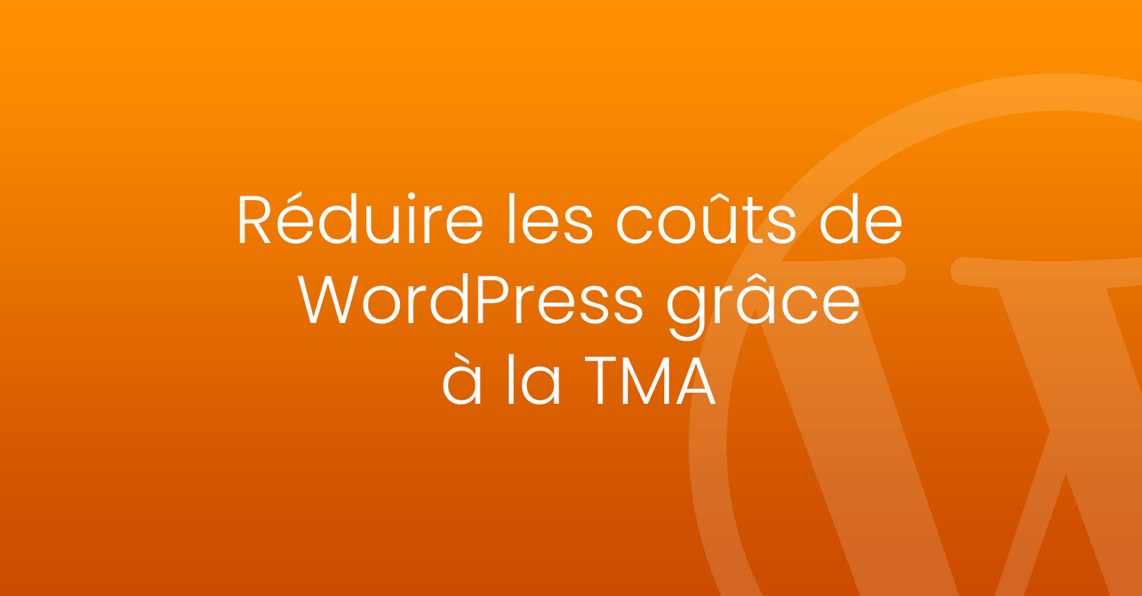 réduire coût maintenance wordpress