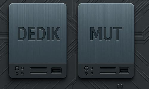 Serveur DEDIK vs Serveur Mutualisé