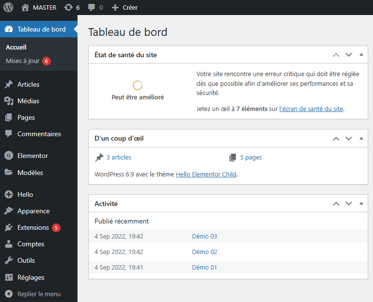 Interface du tableau de bord WordPress avec erreurs.